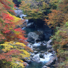 金蔵落しの渓流の画像