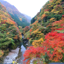 金蔵落しの渓流の画像