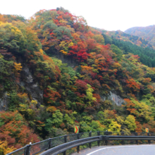 金蔵落しの渓流の画像