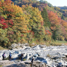 長瀞紅葉 岩畳周辺の画像