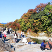 長瀞紅葉 岩畳周辺の画像