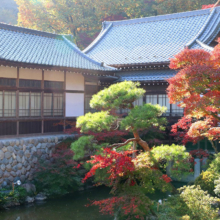 長瀞紅葉 寶登山神社の画像