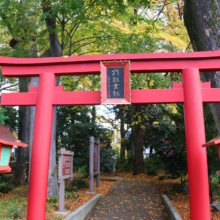 秩父神社紅葉の画像