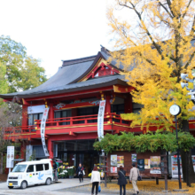 秩父神社紅葉の画像