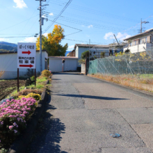 国神の大銀杏の画像