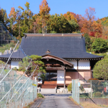 国神の大銀杏の画像