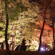 月の石もみじ公園紅葉ライトアップ