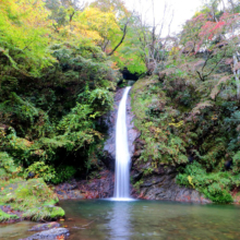 秩父華厳の滝紅葉の画像