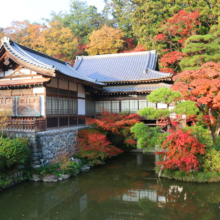 長瀞紅葉 寶登山神社の画像