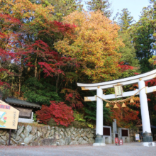 長瀞紅葉 寶登山神社の画像