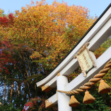 長瀞紅葉 寶登山神社の画像