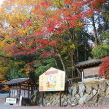 長瀞紅葉 寶登山神社の画像