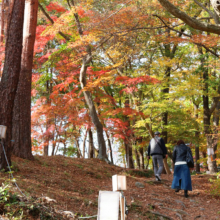 長瀞紅葉 月の石もみじ公園の画像