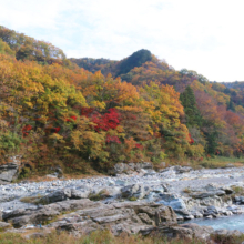 長瀞紅葉 岩畳周辺の画像