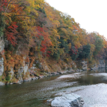 長瀞紅葉 岩畳周辺の画像