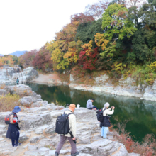 長瀞紅葉 岩畳周辺の画像