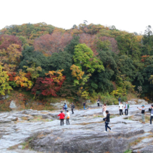 長瀞紅葉 岩畳周辺の画像