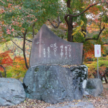 長瀞紅葉 月の石もみじ公園の画像