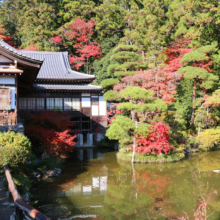 長瀞紅葉 寶登山神社の画像