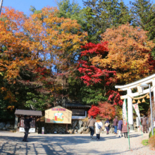 長瀞紅葉 寶登山神社の画像