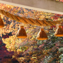 長瀞紅葉 寶登山神社の画像