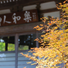 長瀞紅葉 寶登山神社の画像