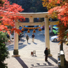 長瀞紅葉 寶登山神社の画像