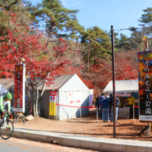 長瀞紅葉 月の石もみじ公園の画像