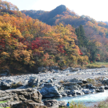 長瀞紅葉 岩畳周辺の画像