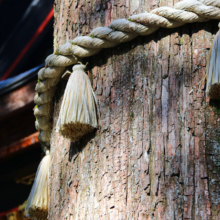 三峯神社師走の画像