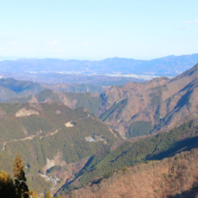 三峯神社師走の画像