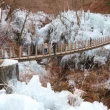 尾ノ内百景（冷っけぇ～）の氷柱