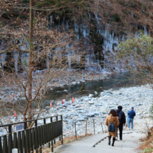 三十槌の氷柱の画像