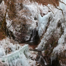 尾ノ内百景（冷っけぇ～）の氷柱