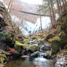 尾ノ内百景（冷っけぇ～）の氷柱