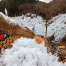 あしがくぼの氷柱の画像