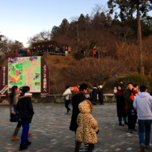 宝登山山頂初日の出