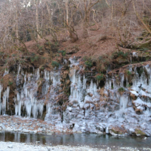 三十槌の氷柱の画像