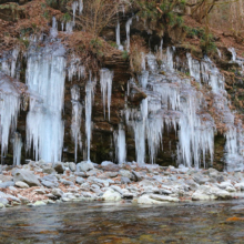 三十槌の氷柱の画像