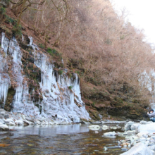 三十槌の氷柱の画像