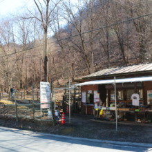 小鹿野町節分草園の画像