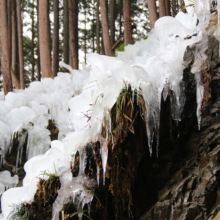 小鹿野町久月の氷柱の画像