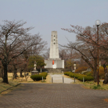 羊山公園桜の画像