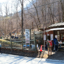 小鹿野町節分草園の画像