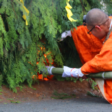 長瀞火祭りの画像