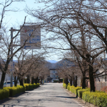 長瀞北桜通りの画像