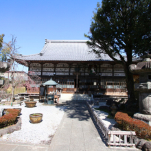 札所29番長泉院しだれ桜の画像