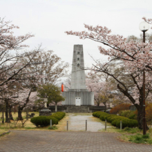 羊山公園桜の画像