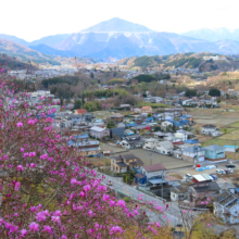 瑞岩寺岩ツツジの画像