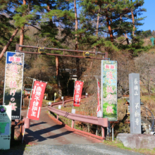 長瀞通り抜けの桜の画像